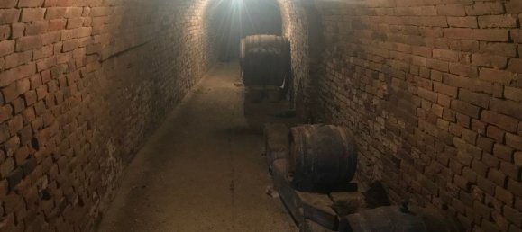 Terreno em Grossweikersdorf, Austria 8112 m² N.º 132852 13