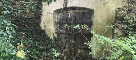 Terreno em Grossweikersdorf, Austria 8112 m² N.º 132852 6