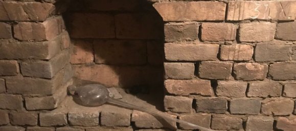 Terreno em Grossweikersdorf, Austria 8112 m² N.º 132852 12