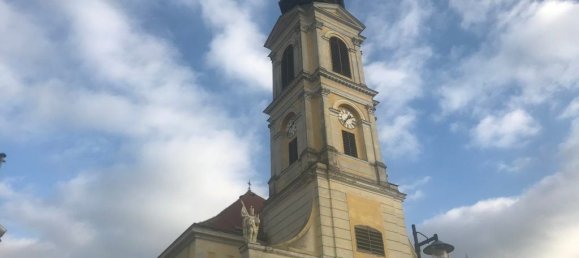 Terreno em Grossweikersdorf, Austria 8112 m² N.º 132852 7