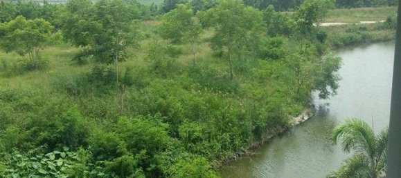 Café / restaurante T8 em Pattaya, Thailand N.º 1582 16