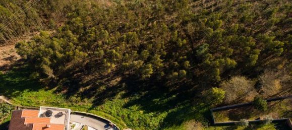 Terreno en Agueda, Portugal 3080 m² No. 73873 6