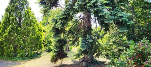 5-salle Maison à Liesing, Austria No. 242396 2