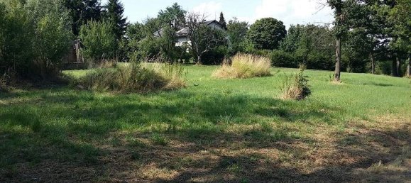  Land in Tulbing, Austria No. 242915 4
