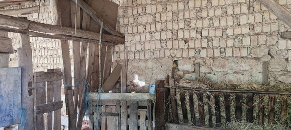 3 bedrooms House in Alcobertas, Portugal No. 30183 41