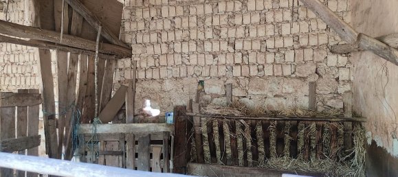 3 bedrooms House in Alcobertas, Portugal No. 30183 39