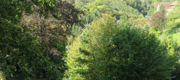 Terreno en Freudenstadt, Germany No. 52649 4