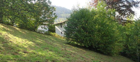 Terreno en Freudenstadt, Germany No. 52649 5