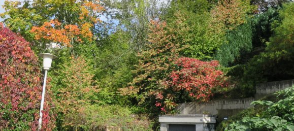 Terreno en Freudenstadt, Germany No. 52649 7