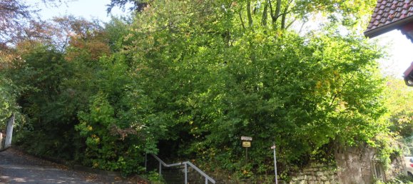 Terreno en Freudenstadt, Germany No. 52649 6