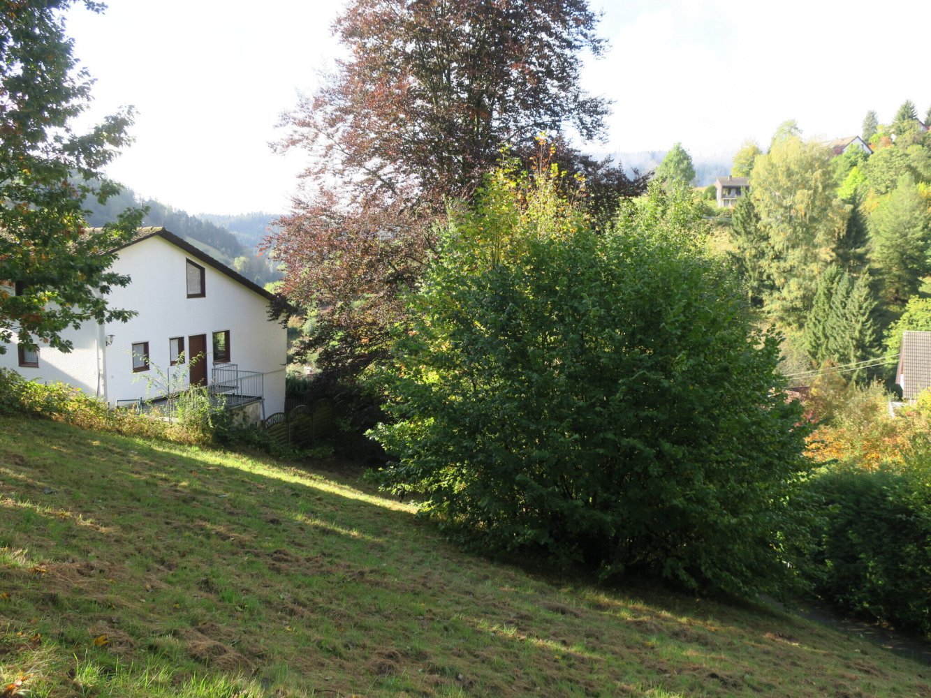 Terreno en Freudenstadt, Germany No. 52649