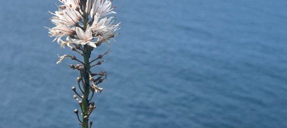 Apartamento de 2 dormitorios en Cantabria, Spain No. 153236 8