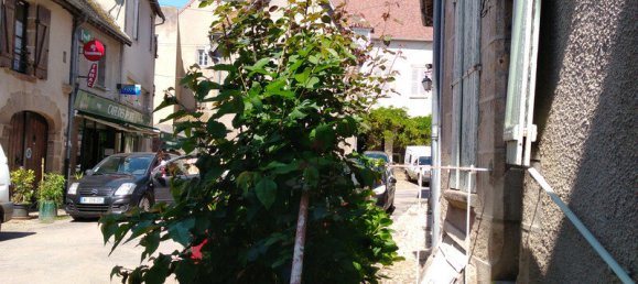 2 Schlafzimmer Stadthaus in Saint-Benoit-du-Sault, France, Nr. 270385 10