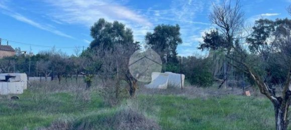 Studio à Quartucciu, Italy No. 173667 11