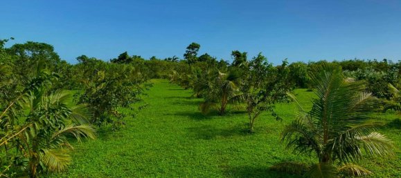 Casa T3 em Port-Vila, Vanuatu N.º 83 6