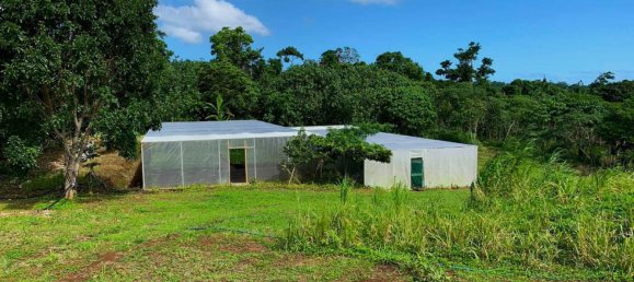 Casa T3 em Port-Vila, Vanuatu N.º 83 7