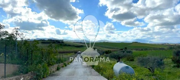 قطعة أرض في Partinico, Italy 7800متر مربع رقم 172974 10
