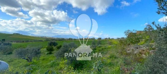 قطعة أرض في Partinico, Italy 7800متر مربع رقم 172974 17