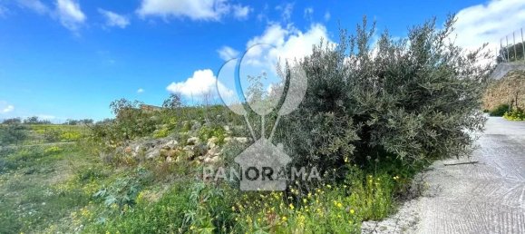 قطعة أرض في Partinico, Italy 7800متر مربع رقم 172974 8