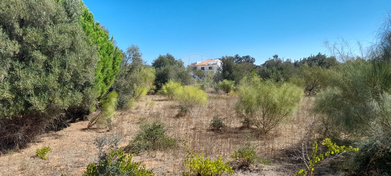 7200m² Land in Silves, Portugal No. 82822