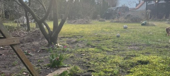  Land in Dahme-Spreewald, Germany No. 244638 7