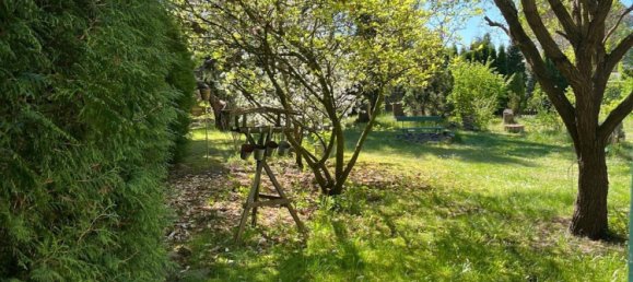  Land in Dahme-Spreewald, Germany No. 244638 4