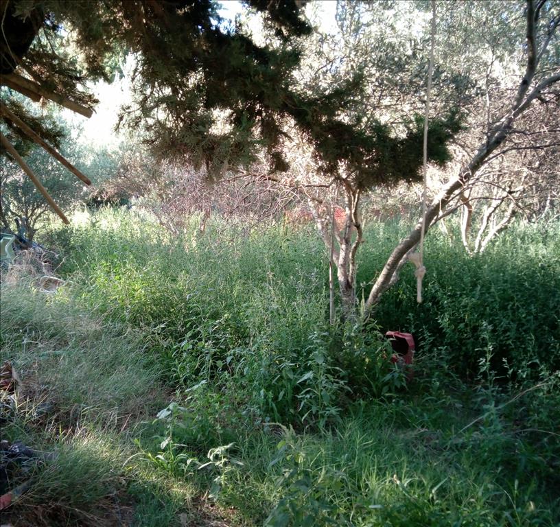 Hôtel à Kifisia, Greece 500m² No. 4494