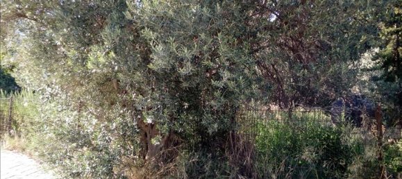 Hôtel à Kifisia, Greece 500m² No. 4494 3