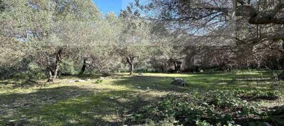 3 غرف نوم فيلا في Crete, Greece رقم 400 7