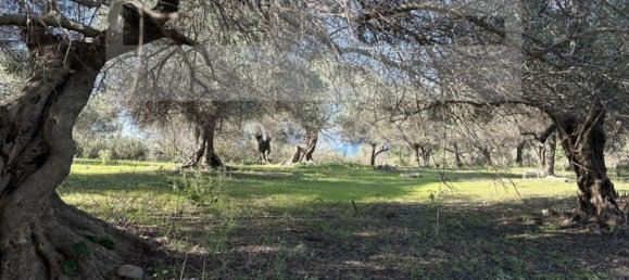 3 غرف نوم فيلا في Crete, Greece رقم 400 8