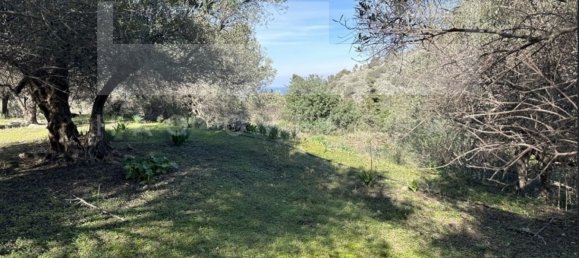 3 غرف نوم فيلا في Crete, Greece رقم 400 5