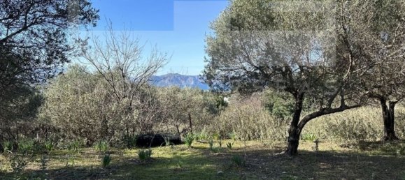 3 غرف نوم فيلا في Crete, Greece رقم 400 6