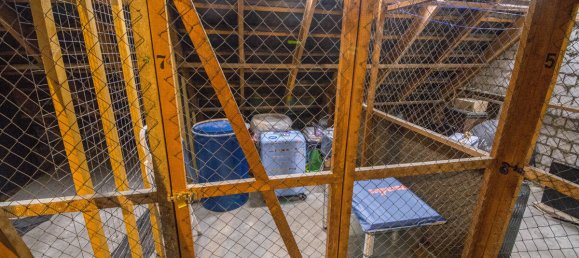 1 غرف نوم شقة في Wandsbek, Germany رقم 63158 11