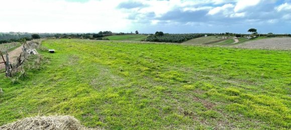  قطعة أرض في Cerveteri, Italy 72000متر مربع رقم 176660 19