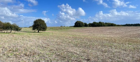  قطعة أرض في Cerveteri, Italy 72000متر مربع رقم 176660 11