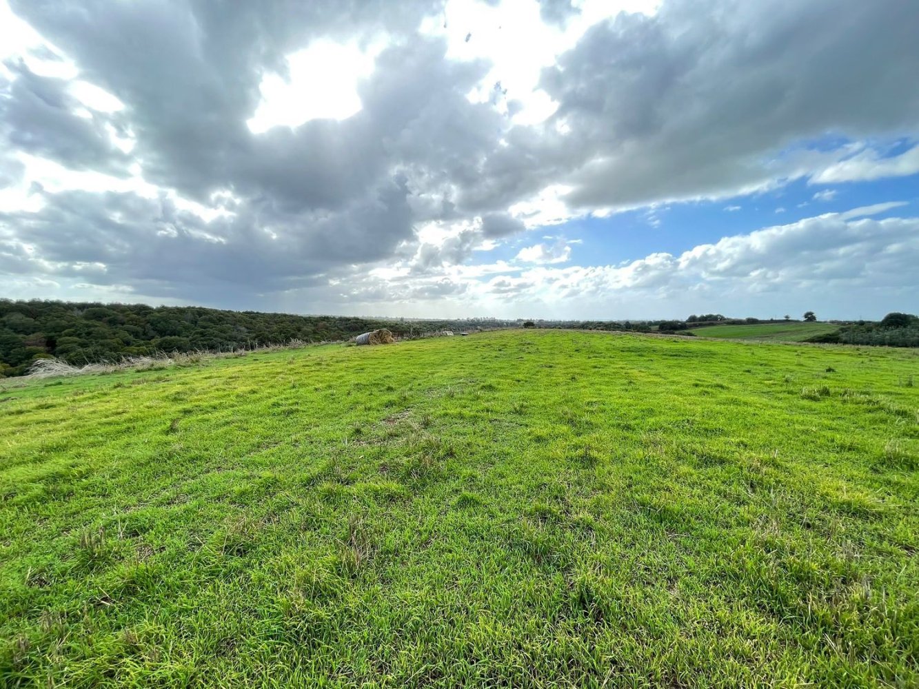  قطعة أرض في Cerveteri, Italy 72000متر مربع رقم 176660