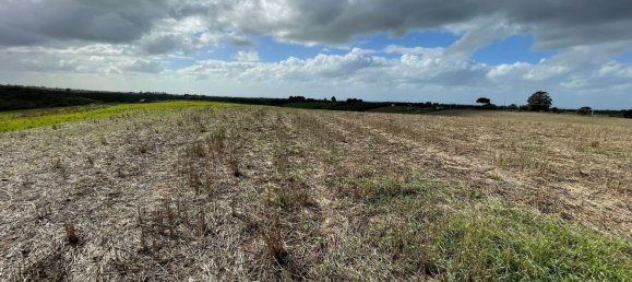  قطعة أرض في Cerveteri, Italy 72000متر مربع رقم 176660 9