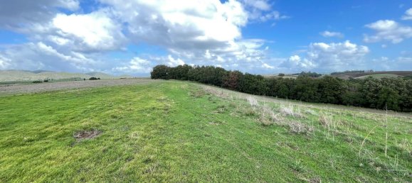  قطعة أرض في Cerveteri, Italy 72000متر مربع رقم 176660 17