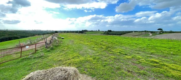  قطعة أرض في Cerveteri, Italy 72000متر مربع رقم 176660 13
