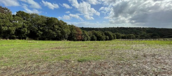  قطعة أرض في Cerveteri, Italy 72000متر مربع رقم 176660 8