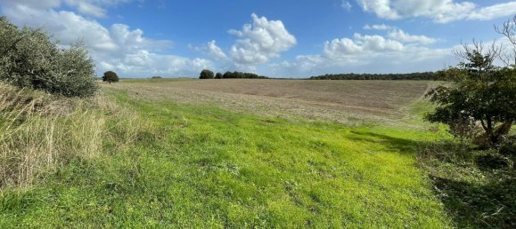  قطعة أرض في Cerveteri, Italy 72000متر مربع رقم 176660 2