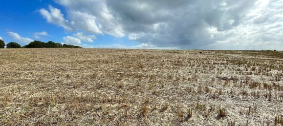  قطعة أرض في Cerveteri, Italy 72000متر مربع رقم 176660 22