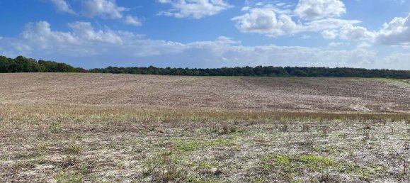  قطعة أرض في Cerveteri, Italy 72000متر مربع رقم 176660 4