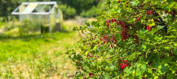 7-salle Maison à Rostock, Germany No. 240520 29