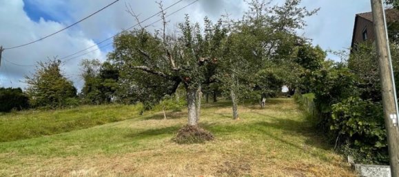  Land in Pforzheim, Germany No. 328451 2