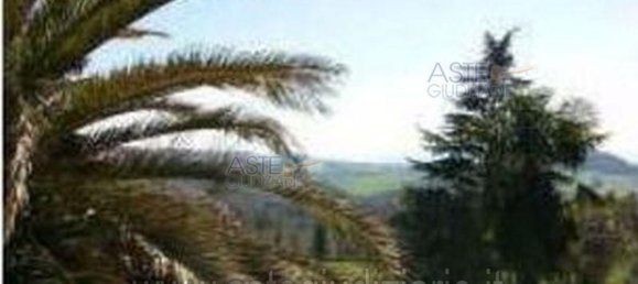 Almacén en Riparbella, Italy 219 m² No. 139144 43