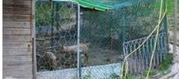 Almacén en Riparbella, Italy 219 m² No. 139144 37