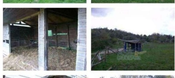 Almacén en Riparbella, Italy 219 m² No. 139144 2