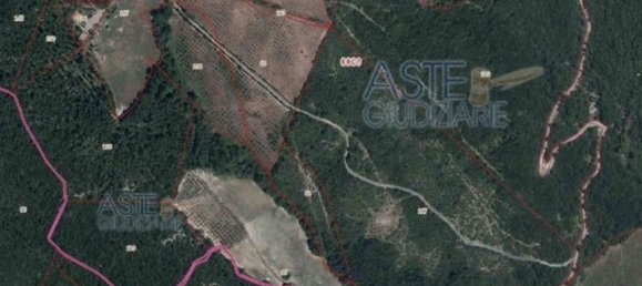 Almacén en Riparbella, Italy 219 m² No. 139144 33