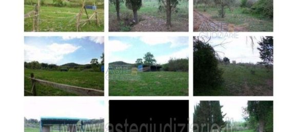 Almacén en Riparbella, Italy 219 m² No. 139144 36